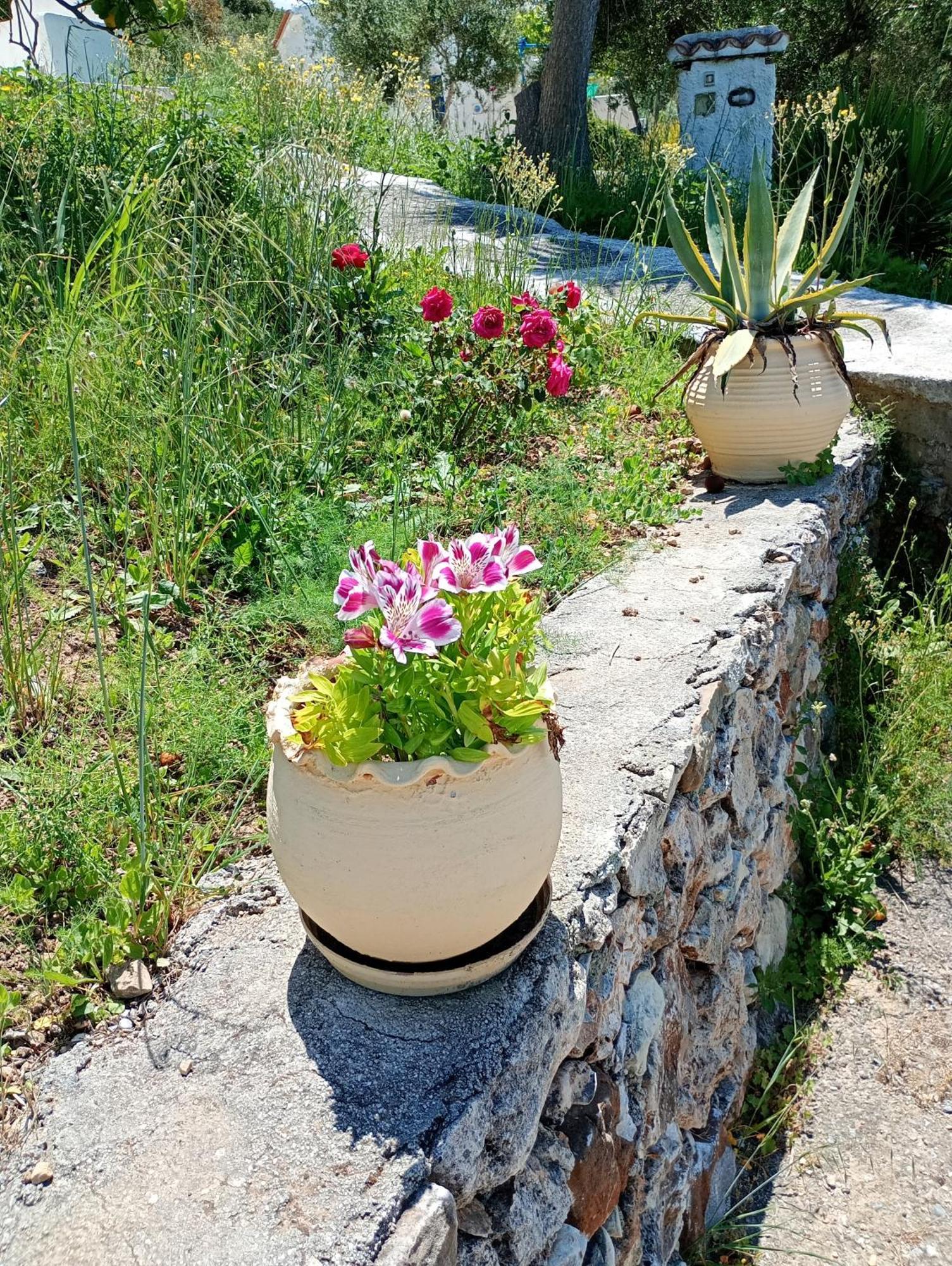 شقة Stefanos Garden Arménoi المظهر الخارجي الصورة